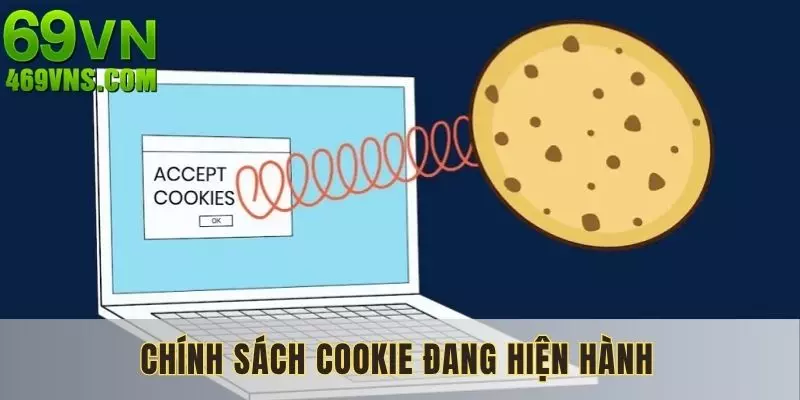 3 chính sách sử dụng cookie được áp dụng trên nền tảng
