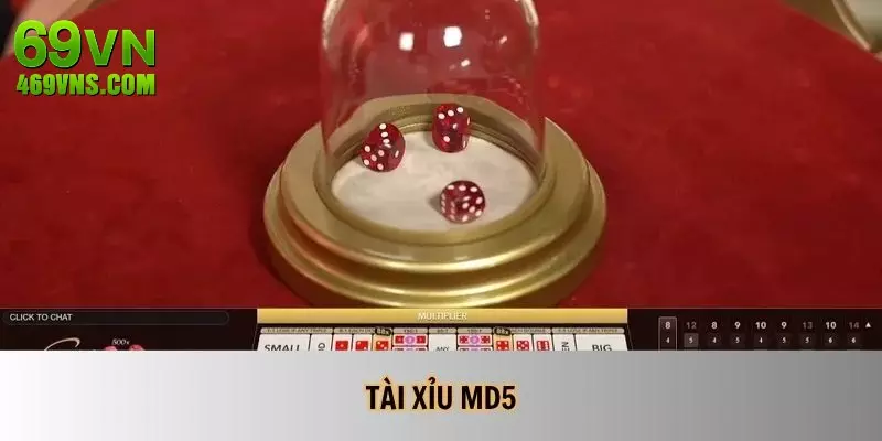 Tài Xỉu MD5 - Tựa Game Đổi Thưởng Khủng Hấp Dẫn