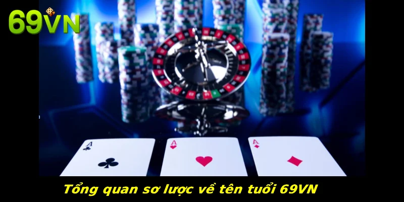 Tổng quan sơ lược về tên tuổi 69VN